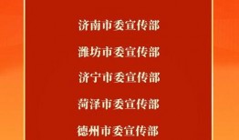六菜最新爆料新闻,揭秘娱乐圈惊人内幕