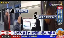 台媒爆料王小菲是谁啊视频,王小菲是谁？视频曝光引发热议