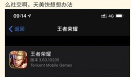 疑似玩家娱乐爆料怎么处理,真相与猜测的交织