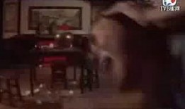 爆料狐仙的视频在线观看,跟随爆料狐仙视频探寻神秘世界