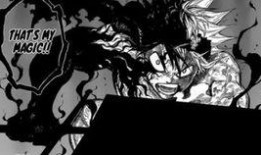 黑色四叶草漫画最新爆料