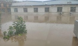 涿州洪水最新爆料消息今天,紧急救援行动全面展开，受灾情况令人揪心