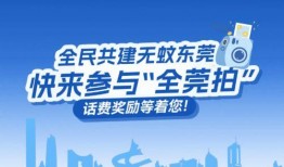 东莞新闻今日爆料,最新爆料揭示城市动态与热点事件