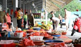 海鲜爆料视频,揭秘海鲜市场背后的惊人真相