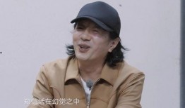 郑钧爆料郑恺视频大全,揭秘娱乐圈背后的秘密