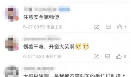 司机大佬爆料视频大全集,视频大全集深度解析