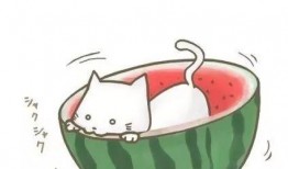 娱乐吃瓜酱的头像图片,揭秘娱乐圈幕后故事，带你领略明星们的真实生活