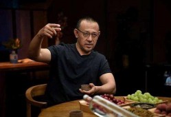 央视爆料姜文视频全集