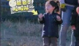 萌娃爆料老爸视频大全播放,老爸搞笑视频大全，笑点满满，温馨瞬间尽收眼底