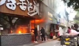 餐饮爆料视频大全集,爆料视频大全集深度解析