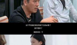 再见爱人爆料视频,夫妻关系背后的真相与抉择