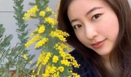 松井美雪在线观看,在线观看，揭开音乐才女的魅力世界