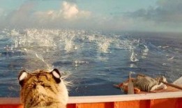 少年派漂流记在线观看,一场跨越生死的海洋之旅