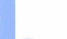 网红明星泡泡吃瓜视频,揭秘网红明星幕后故事