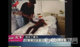 意外视频在线观看,揭秘真实事故现场