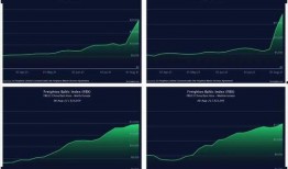 美国海运爆料视频最新消息,美国海运行业动态揭秘