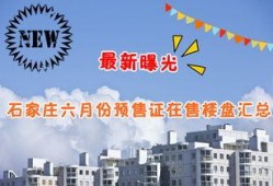 石家庄近期爆料汇总最新,聚焦城市热点事件与民生焦点