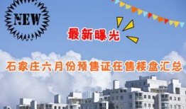 石家庄近期爆料汇总最新,聚焦城市热点事件与民生焦点