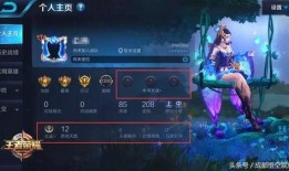 王者超级爆料怎么弄的视频,轻松掌握视频制作技巧