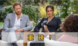 美国脱口秀爆料家庭视频,揭秘名人私生活幕后趣事