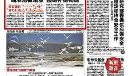 慈溪今日头条爆料,揭秘当地最新热点事件！