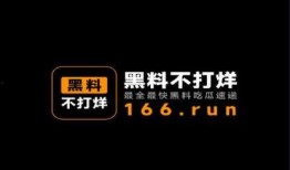免费吃瓜不打烊视频,揭秘热门视频背后的娱乐盛宴