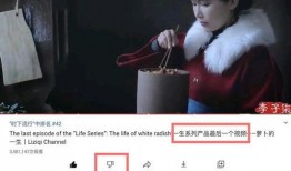 天涯爆料网红五嫂视频,揭秘背后真相与争议