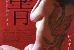 宛如香月在线观看,穿越时空的浪漫邂逅