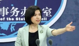 杨晓红家暴最新爆料信息,最新爆料揭露惊人内幕