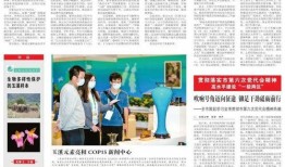 玉溪日报爆料新闻最新消息,揭秘某重大事件背后真相