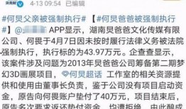 何炅保姆事件爆料细节视频,揭秘背后惊人细节
