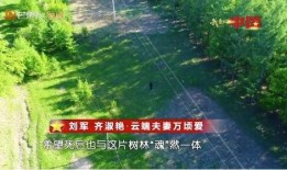 中国国情新闻爆料,揭秘中国国情下的热点新闻事件