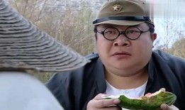 小兵张嘎吃瓜篇免费观看,免费观看背后的故事