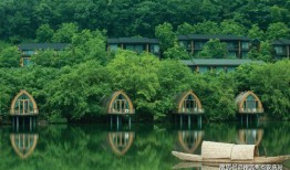 道县新闻爆料电话查询网,一键获取最新资讯，畅享便捷服务