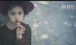 孙莉妹妹爆料视频播放,揭秘娱乐圈幕后真相