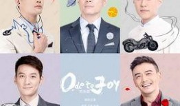 欢乐颂乐视网在线观看,重温都市情感盛宴