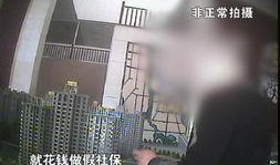 河北楼市爆料最新消息,揭秘热点区域房价走势与政策调整