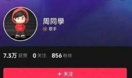 九派新闻抖音爆料湘乡,九派新闻抖音爆料引发社会关注