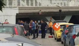 陆丰车管所爆料案件最新,案件细节曝光，真相令人震惊！”