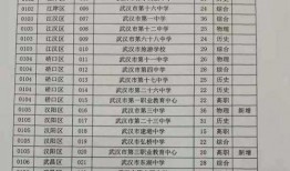 武汉出轨爆料案件视频最新,惊人细节揭露婚姻危机