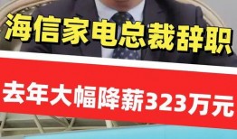 江苏老板爆料新闻视频,揭秘企业内幕，行业乱象引发关注