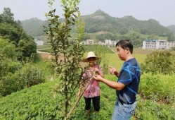 竹山农香最新爆料,带你走进神秘农产品世界