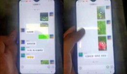 吃瓜群资源群微信免费,微信免费畅享的娱乐盛宴