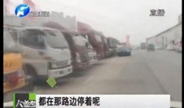 陆丰车管所爆料案件最新,案件细节曝光，真相令人震惊！”