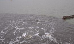 杭州九堡大桥最新爆料,揭秘工程进展与未来规划