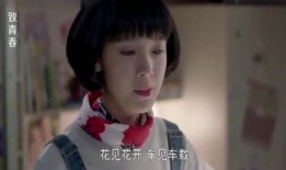 又见花儿开在线观看