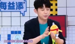 何炅爆料薇娅视频,揭秘直播界传奇背后的真实瞬间