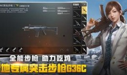 阿贝绝地求生爆料视频在线观看,揭秘游戏幕后秘密与精彩瞬间