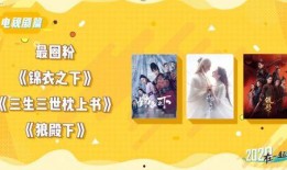 大熊爆料周易视频大全集,周易视频大全集深度解析