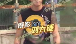 刘大锤9月份爆料视频在线观看,揭秘热点事件背后的真相